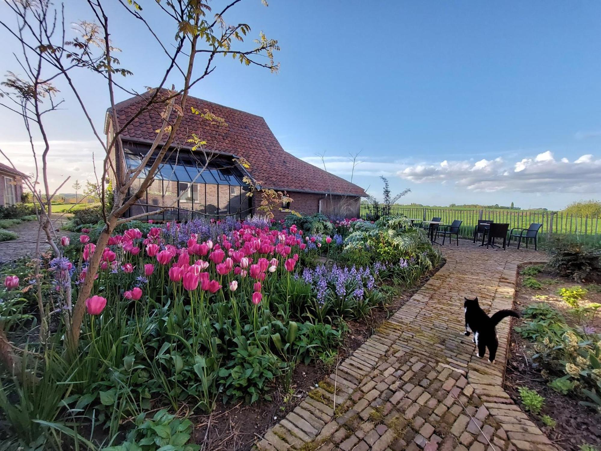B&B Stefans Pottery Poperinge Buitenkant foto