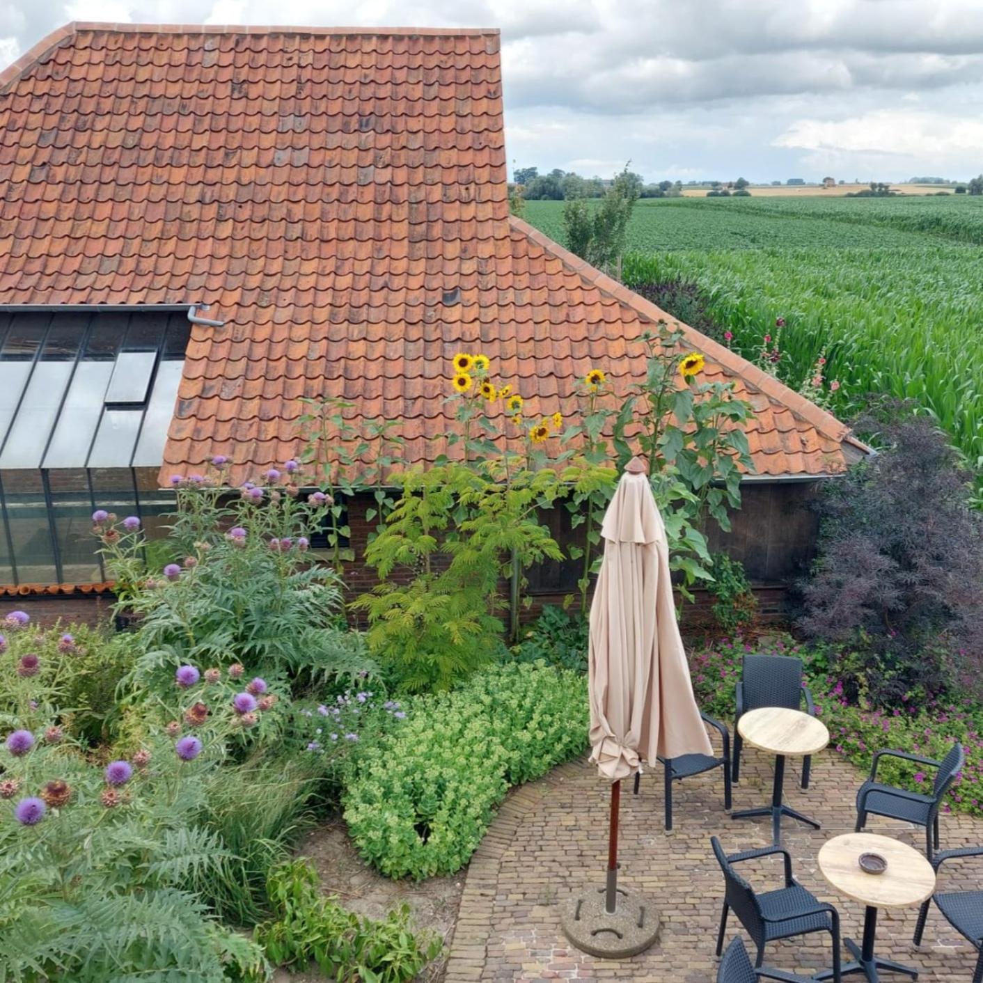B&B Stefans Pottery Poperinge Buitenkant foto